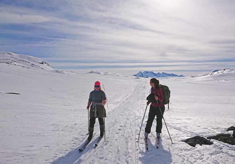 Forside fjellski