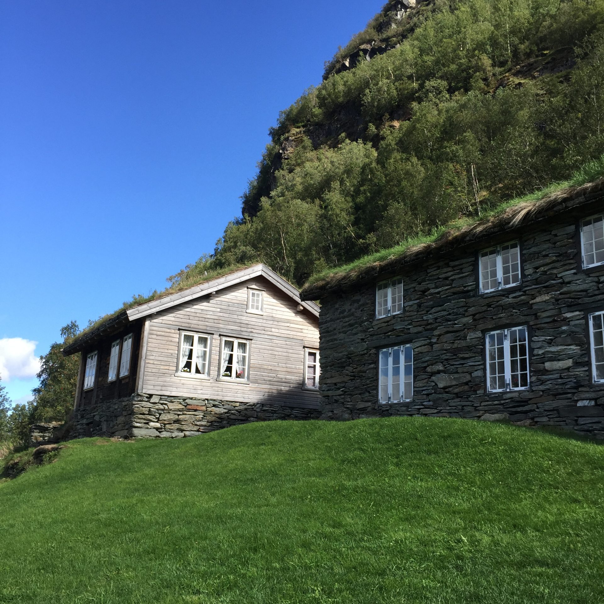 Fuglesteg1 (1)